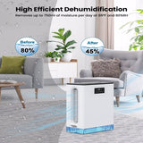 3L Dehumidifier for Home with Auto Shut Off, Large Room