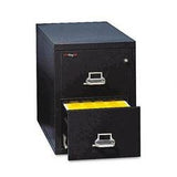 FireKing Vertical 2 Drawer Legal Fire Safe File Cabinet with Key Lock