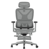 FLEXISPOT ErgoX Premium Ergonomic Office Chair with Footrest- Adjustable 3D Armrests, Dynamic Lumbar Support, Light Grey