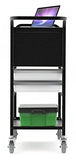 Luxor Indoor Modern Mobile Utility Heavy Duty Storage Organizer File Cart with Locking Cabinet