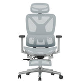 FLEXISPOT ErgoX Premium Ergonomic Office Chair with Footrest- Adjustable 3D Armrests, Dynamic Lumbar Support, Recline & Tilt Function,Blue