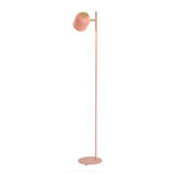 58GXCAAMOT Nordic Macaron Floor Lamps Modern Study Desk Lamp
