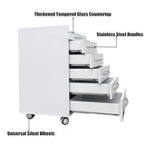 5 Drawer Mobile Dental File Storage Cabinet Stainless Steel White Medical Assistant's