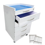 Dental Assistant's Mobile Cart 5 Drawers Mobile File Cabinet with 2 Storage Trays Dental Clinic Stainless
