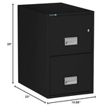 PHOENIX SAFE Vertical Fireproof File Cabinet 25" Letter 2-Drawer