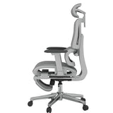 FLEXISPOT ErgoX Premium Ergonomic Office Chair with Footrest- Adjustable 3D Armrests, Dynamic Lumbar Support, Light Grey