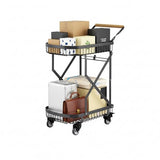 LeleCAT 2-Tier Storage Cart with Wheels, Heavy Duty Folding Rolling Cart