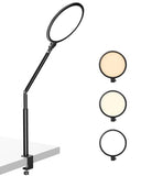 Weilisi 10.2" Desk Ring Light with Stand, 360° Rotate Desk Lamps for Home Office with C-Clamp