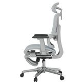 FLEXISPOT ErgoX Premium Ergonomic Office Chair with Footrest- Adjustable 3D Armrests, Dynamic Lumbar Support, Recline & Tilt Function,Blue