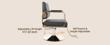 Barber Chair Salon Chair for Hair Stylist Hair Chair for Barbershop Home 360° Swivel Styling Salon Chairs,