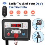 CIIHI Dog Treadmill for Medium Small Dogs - 265lbs Weight Capacity Pet Running Machine with 360° Rotatable Display - 2 in 1 Treadmill for Pet Fitness