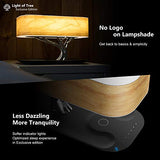 AMPULLA Masdio by Ampulla Bedside Lamp with Bluetooth Speaker and Wireless Charger, Table Lamp Desk Lamp