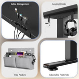 Electric Standing Desk with LED Lights,48 x 24 Inch Height Office Desk with 3 Memory Preset