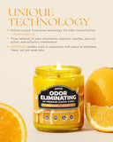 AOOVOO Citrus Lemon Odor Eliminating Highly Fragranced Candle - Eliminates 95% of Pet, Smoke, Food, and Other Smells Quickly, Non Toxic Air Freshing Soy Candle, 9 oz Up to 50 Hours Burn time