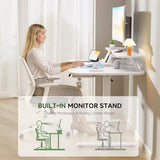 Electric Standing Desk with Drawers, 48 x 24 Inches Height Adjustable Computer Desk with Monitor Stand,
