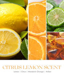 AOOVOO Citrus Lemon Odor Eliminating Highly Fragranced Candle - Eliminates 95% of Pet, Smoke, Food, and Other Smells Quickly, Non Toxic Air Freshing Soy Candle, 9 oz Up to 50 Hours Burn time