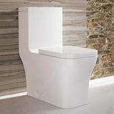 Toilet Dual Flush 1.1/1.6 gpf with 10" Rough In Swiss Madison