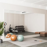 brisafe Gym Mirror, 79"x40" 2-Pack Shatterproof Nano Wall Mirror