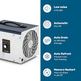 ARGENDON Dehumidifier for Crawlspace and Commercial 5-Year Limited Warranty