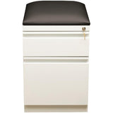 Pemberly Row 2-Drawer Metal Mobile Filing Cabinet, 23.75" H x 15.00" W x 19.88" D, Steel Construction