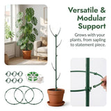 Plant Stakes for Indoor Plants Adjustable to 25" with Trellis & Clips