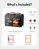 Litime 12V 100Ah Trolling Motor LiFePO4 Battery for Marine, Boat (3-Pack)