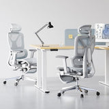 FLEXISPOT ErgoX Premium Ergonomic Office Chair with Footrest- Adjustable 3D Armrests, Dynamic Lumbar Support, Recline & Tilt Function,Blue