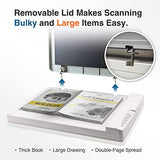 Flat Scanner for Graphics and Documents in A3 Format, Design Suitable for Libraries