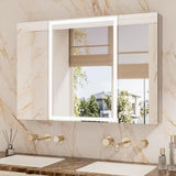 TETOTE 48 x 32 Lighted Bathroom Medicine Cabinet with Adjustable Shelves, Silver Aluminum Cabinet, Anti-Fog
