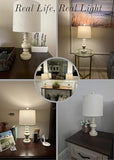 Tradition 20.5" Rustic Table Lamp Set of 2 for Living Room Farmhouse Bedside Desk Lamps