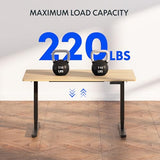 FLEXISPOT E6 3-Stage Dual Motor Electric Standing Desk 55 x 28 Sit Stand Up Desk