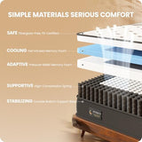 Firm King Mattress 12 Inch - Hybrid Mattress for Spinal Alignment