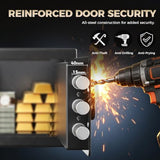 ANBEGE Biometric Safe Box, 0.44 Cu Ft Fingerprint Safe with Keypad & Key Access, Hidden Security Safe for Cash, Jewelry & Valuables, Home, Office, College Dorm