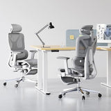 FLEXISPOT ErgoX Premium Ergonomic Office Chair with Footrest- Adjustable 3D Armrests, Dynamic Lumbar Support, Light Grey