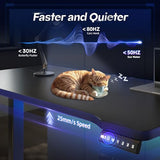 Electric Standing Desk with LED Lights,48 x 24 Inch Height Office Desk with 3 Memory Preset
