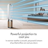 Dyson Purifier Cool PC2 De-NOx