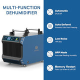 ARGENDON 145 Pint Crawl Spaces Dehumidifier with Pump, Guardian 60P