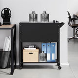 Letaya Mobile File Cabinet with Lock-Rolling Filing Cart with Wheels-Hanging