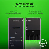 Razer Leviathan V2 X PC Soundbar with Full-Range Drivers - Compact Design - Chroma RGB - USB Type C Power and Audio Delivery
