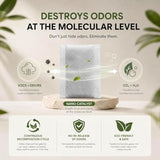 Automotive Refrigerator Deodorizer