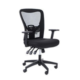 ALPHA HOME Office Chair Ergonomic Home Desk Chair Mid Back Mesh Computer Task Chair, Capacity 300LBS