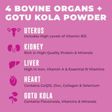 Beef Organ Supplement for Women - Beef Liver, Kidney, Heart and Uterus Tissue, Supports Women's Overall Energy and Health - Pasture Raised in New Zealand - No Fillers or Flow Agents - 120 Capsules