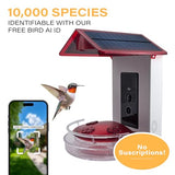 Quick Setup Smart Solar Hummingbird Feeder with Camera 1080P 2MP High-Def and WiFi AI Bird Identification Birdfeeder, Ant Guard Moat, Squirrel Alarm, Removeable Tray, Identifies 10,000+ Birds