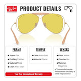 Ray-Ban x Dolce Gabbana Edition RB3138M SHOOTER Aviator Sunglass with Kit