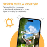 Quick Setup Smart Solar Hummingbird Feeder with Camera 1080P 2MP High-Def and WiFi AI Bird Identification Birdfeeder, Ant Guard Moat, Squirrel Alarm, Removeable Tray, Identifies 10,000+ Birds
