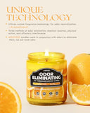 AOOVOO 4 Pack Citrus Lemon/Fantasy Ocean Odor Eliminating Highly Fragranced Candle - Eliminates 95% of Pet, Smoke, Food, and Other Smells Quickly, Non Toxic Air Freshing Soy Candle