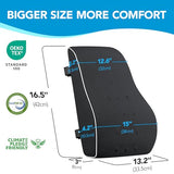 Lumbar Support Pillow for Office Chair, Office Home Essentials,Gifts for Mom,Dad, Back Support Pillow