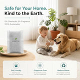 Automotive Refrigerator Deodorizer