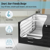 AdirOffice Flat File Cabinet - Heavy Duty 5-Drawer Blueprint Sheets Storage, 35" x 46" Great for Documents Sized 30” x 42”, Ideal for Artists, Art Files, Engineers, Architects, Offices - Black
