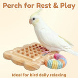 Parrot Toy Cork Pulling Puzzle – 30x Natural Cork Stoppers with Wooden Cookie Shaped Base, Small Medium Parrot Chew Toy for Boredom Buster, Cage Mount Foraging Toy